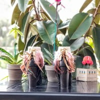 Light pink feathers, one peacock feather, off white base