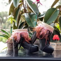 Light pink feathers, one peacock feather, off white base