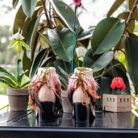 Light pink feathers, one peacock feather, off white base