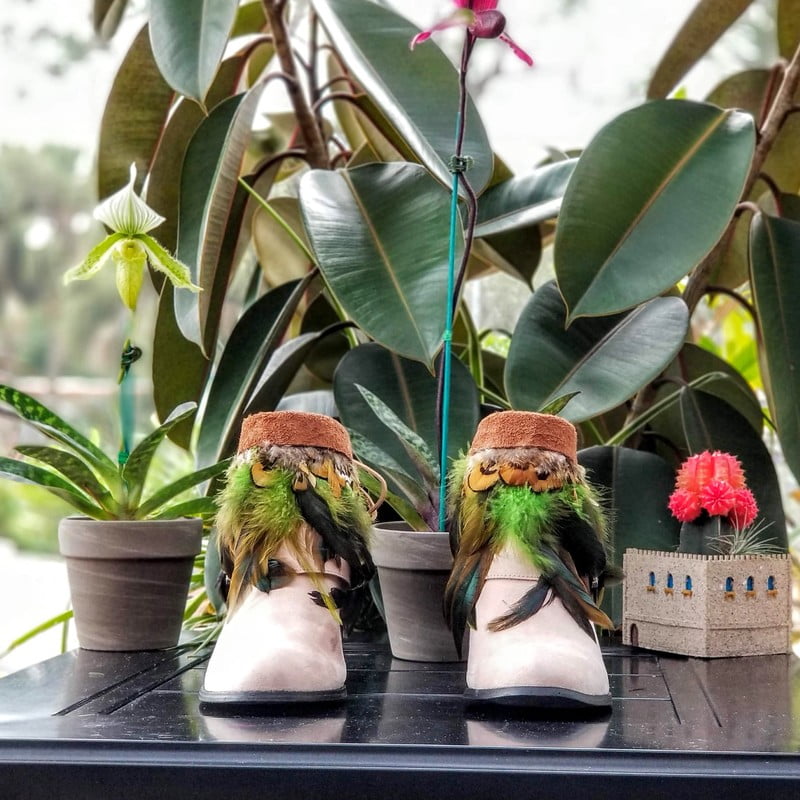 Green feathers, brown feathers, brown leather