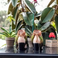 Green feathers, brown feathers, brown leather