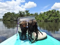 Black feathers, Small orange feathers,  grey pleather, purple lace with beads,